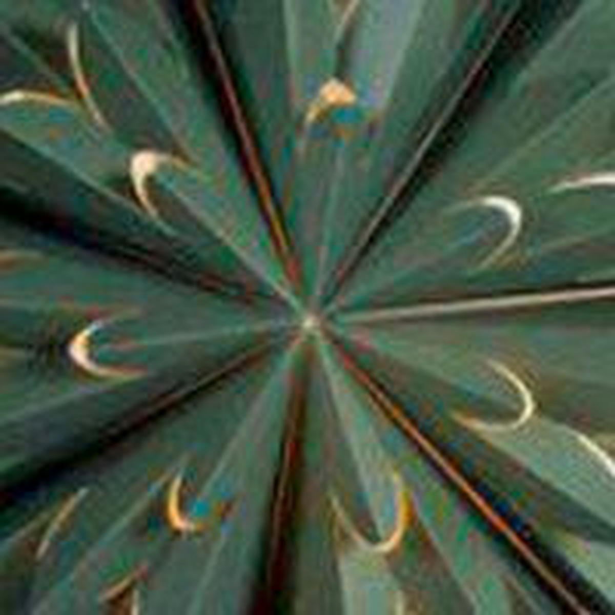 LEUCHTENSCHIRM - Dunkelgrün, KONVENTIONELL, Papier (50cm)