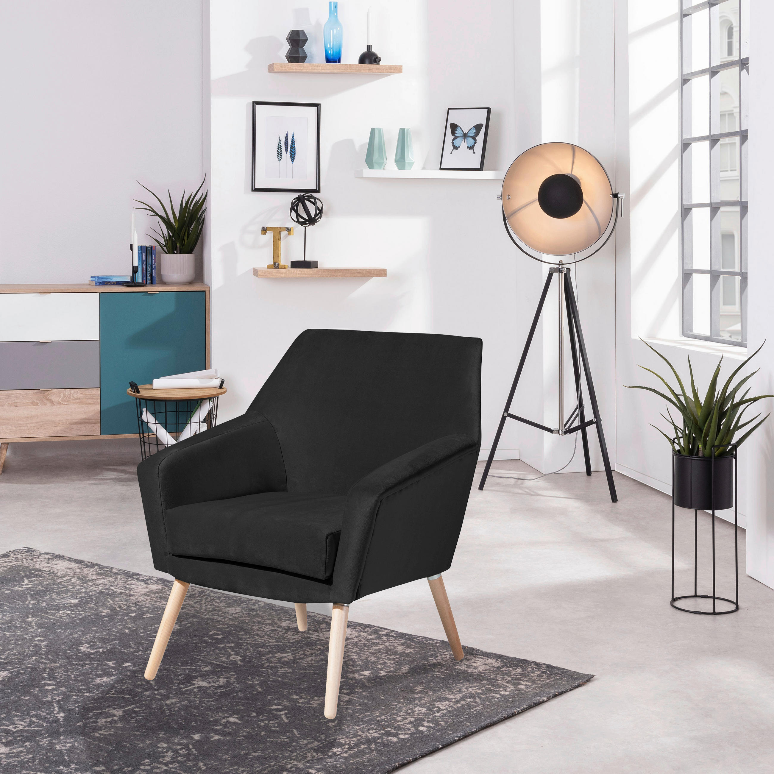 SESSEL in Samt, Velours Schwarz, Buchefarben  - Buchefarben/Schwarz, Design, Holz/Textil (67/81/71cm) - Max Winzer