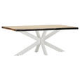 TISCHPLATTE      - Akaziefarben, Design, Holz (200/100/5cm) - Landscape