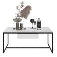 COUCHTISCH in Metall, Holzwerkstoff 100/60/43 cm  - Grauweiß/Schwarz, Design, Holz/Holzwerkstoff (100/60/43cm) - Dieter Knoll