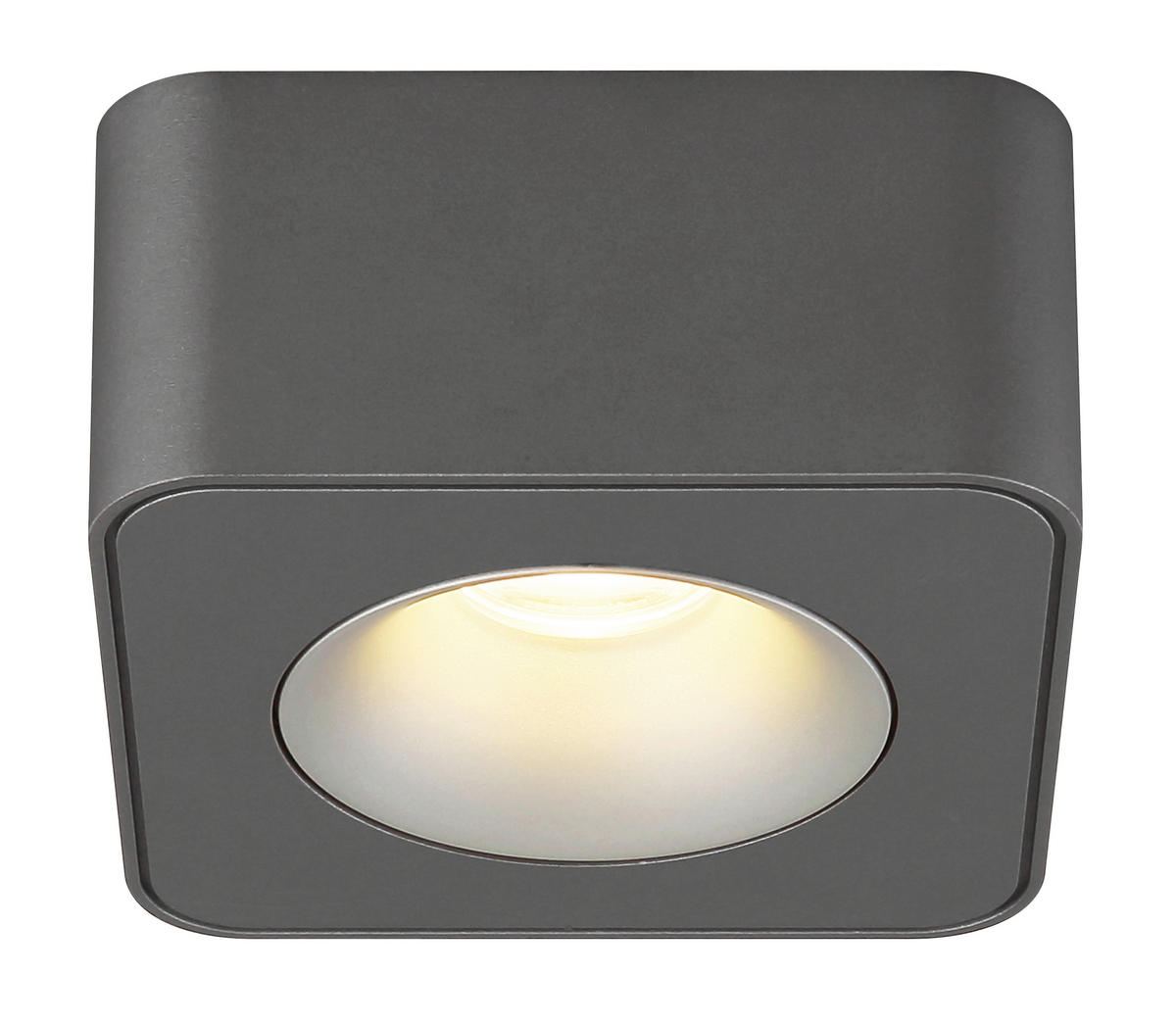LED ZÁŘIČ, 11.7/11.7/5.5 cm - čiré/tmavě šedá, Konvenční, kov/plast (11.7/11.7/5.5cm) - Globo