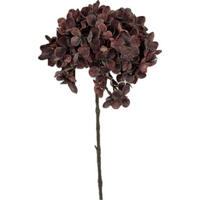 DEKORAČNÁ KYTICA  - zelená/baklažánová, Basics, plast (64/18/18cm)