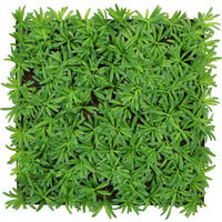 AKUSTIKPANEEL Modular Wall System Nature Design Flora 52/52/5 cm  - KONVENTIONELL (52/52/5cm) - Jangal