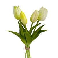 KUNSTPFLANZE  - Creme/Weiß, Basics, Kunststoff (ca. 25 cmcm)