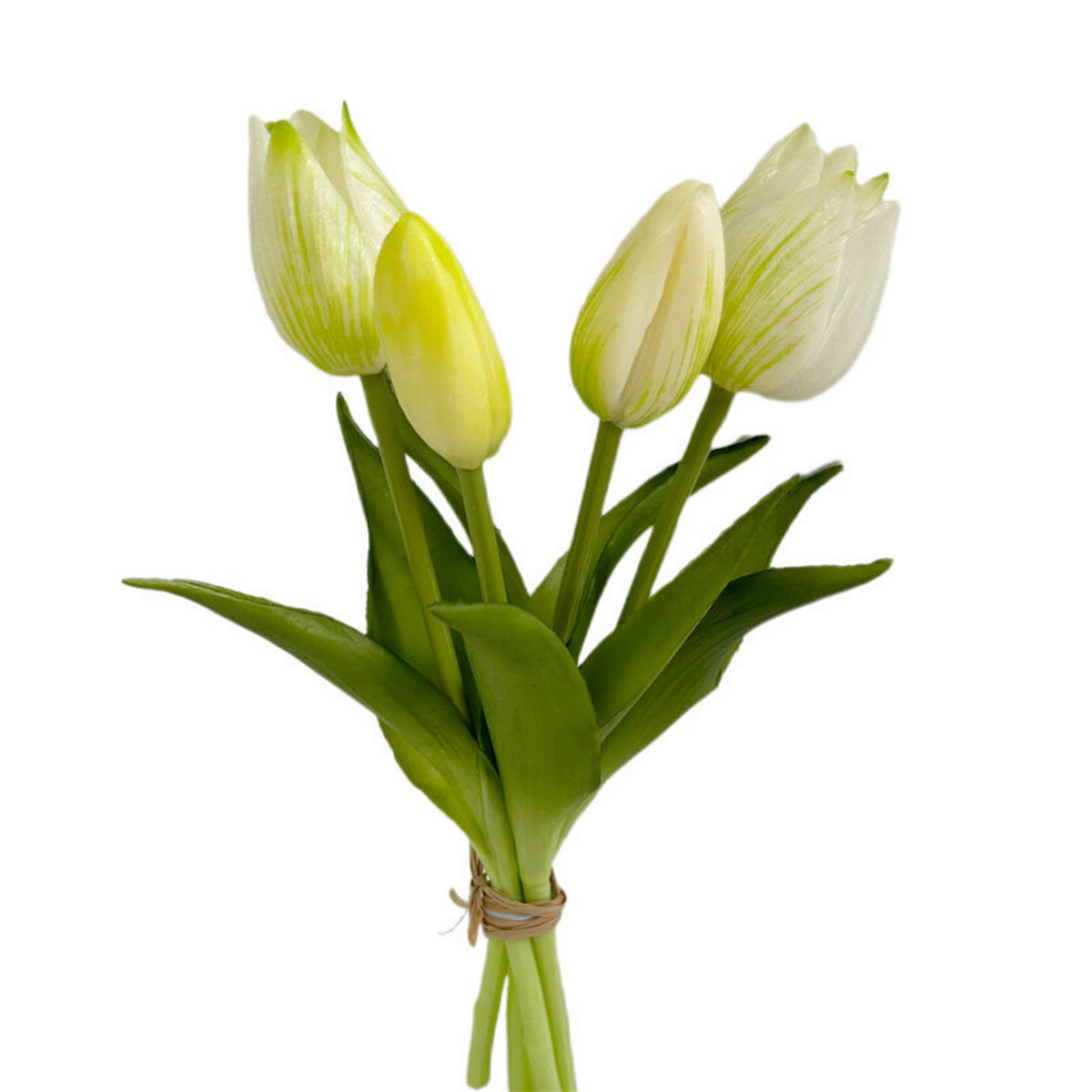 KUNSTPFLANZE  - Creme/Weiß, Basics, Kunststoff (ca. 25 cmcm)