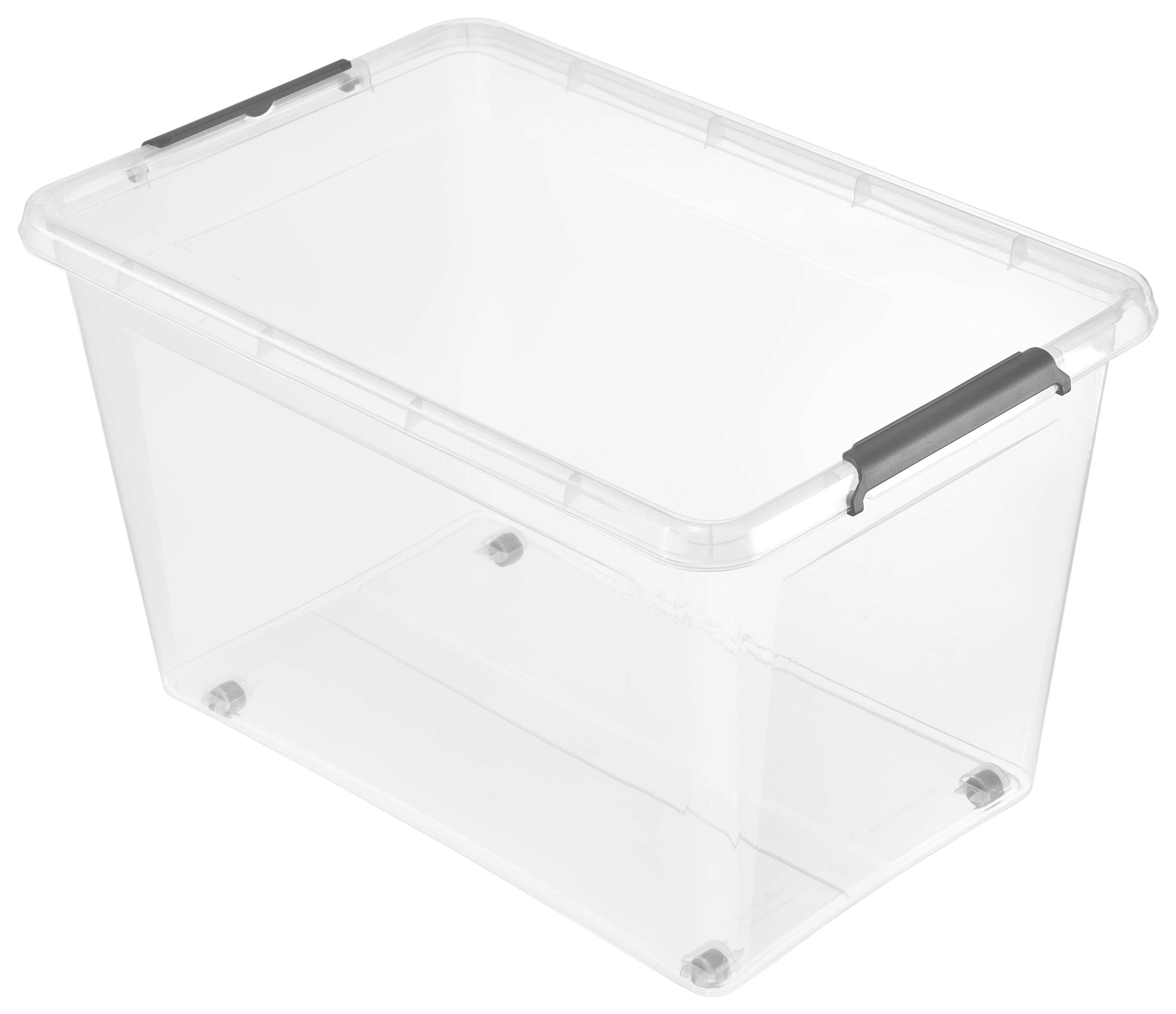 BOX MIT Deckel 58/39/35 cm