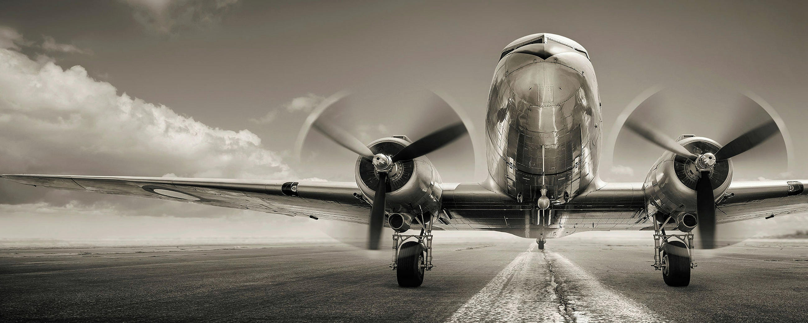 GLASBILD Landschaft & Natur  - Schwarz/Weiß, Design, Glas (50/125/1,40cm) - Euroart