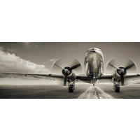 GLASBILD Landschaft & Natur  - Schwarz/Weiß, Design, Glas (50/125/1,40cm) - Euroart