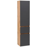 Dulap Înalt 40/180/35 cm  - argintiu/culoare lemn stejar, Konventionell, plastic/material pe bază de lemn (40/180/35cm) - Held