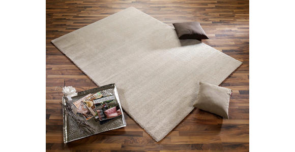 WEBTEPPICH Louvre Melange 160/230 cm  - Beige, Basics, Textil (160/230cm) - Novel