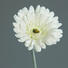 KUNSTBLUME - Creme/Grün, Basics, Kunststoff/Textil (56cm) KUNSTBLUME - Creme/Grün, Basics, Kunststoff/Textil (56cm)