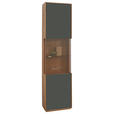 VITRINE in furniert, massiv Wildeiche Grau, Wildeiche  - Wildeiche/Silberfarben, Design, Glas/Holz (50/204/40cm) - Waldwelt