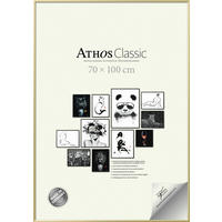 BILDERRAHMEN - Goldfarben, Basics, Papier/Holzwerkstoff (70/100/1,8cm)