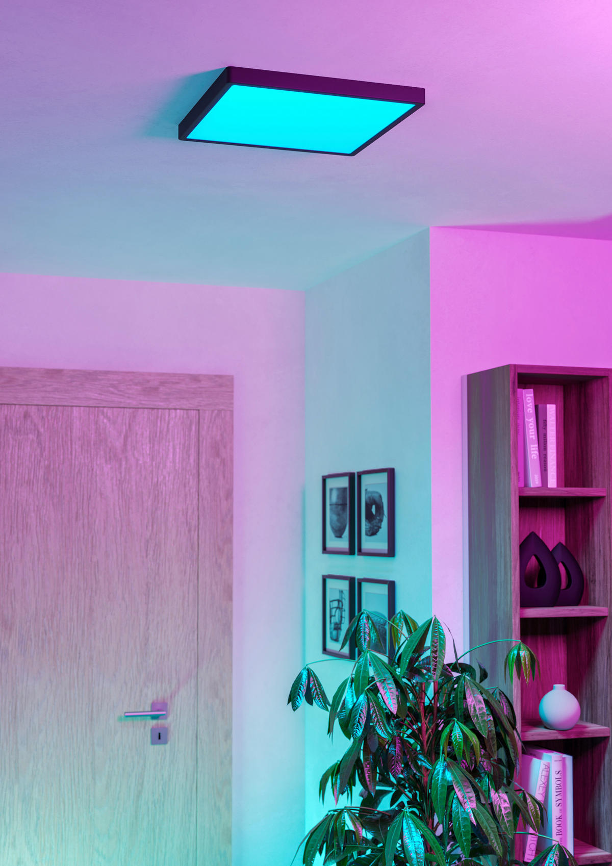 LED-DECKENLEUCHTE    39/39/2,5 cm  - Schwarz, Basics, Kunststoff (39/39/2,5cm) - Eglo