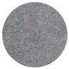 RASENTEPPICH - Grau, Basics, Textil (195cm) - Ambia Garden
