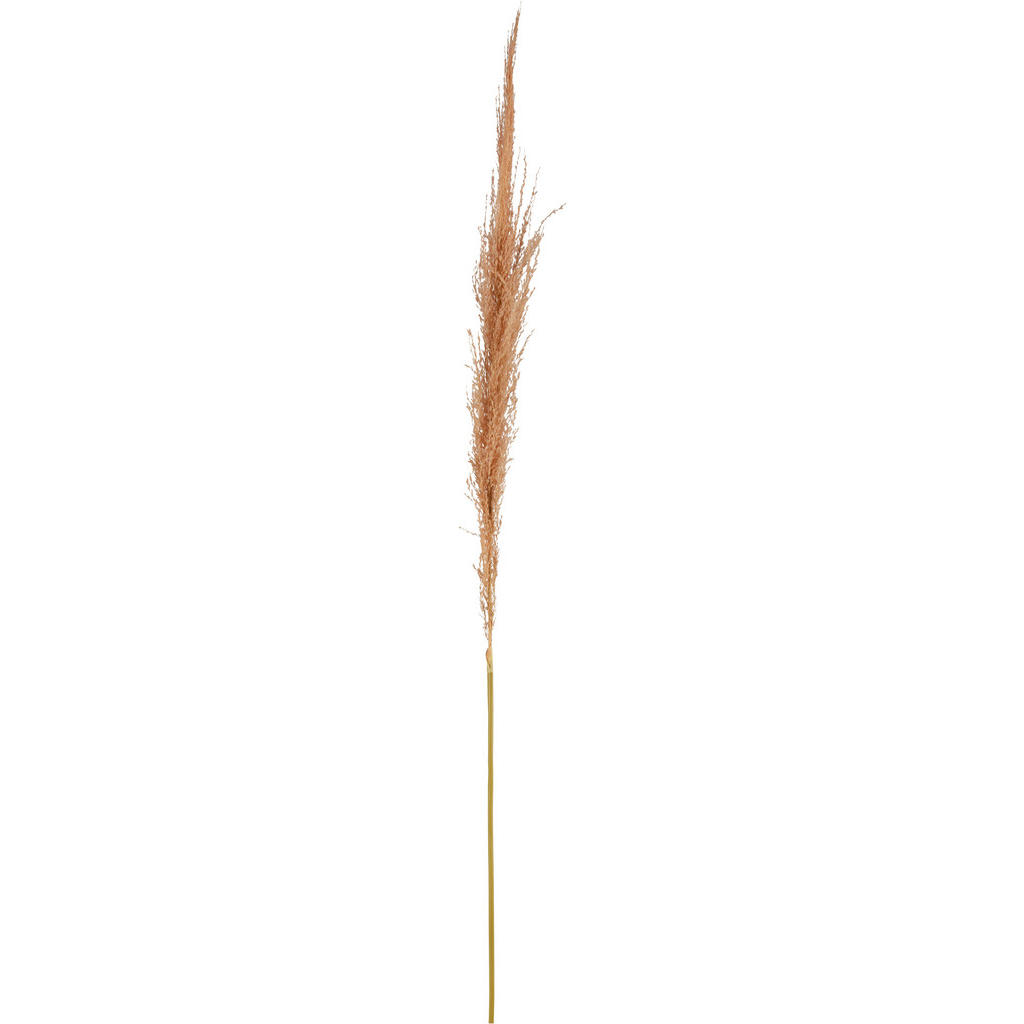 DEKORAČNÍ VĚTVIČKA pampová tráva 120 cm - oranžová