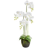 ORCHIDEJ 100 cm - bílá/zelená, Basics, plast (100cm)