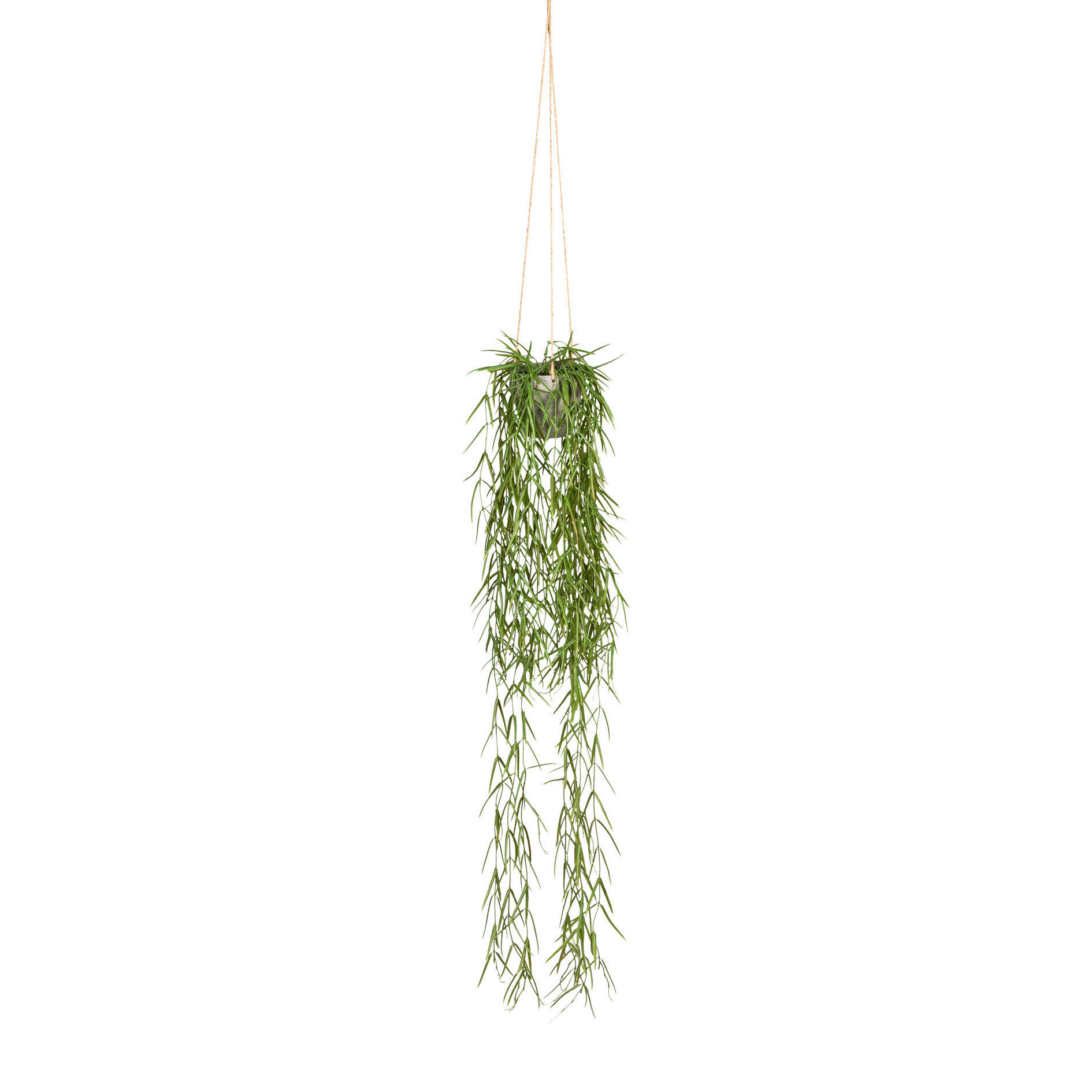 KUNSTPFLANZE Tillandsie 90 cm  - Hellgrau/Grün, Basics, Kunststoff (90cm)