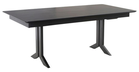 ESSTISCH 200-300/100/76 cm Metall, Kunststoff Schwarz rechteckig  - Schwarz, KONVENTIONELL, Kunststoff/Metall (200-300/100/76cm) - Moderano