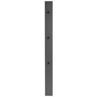 GARDEROBENPANEEL  in 14/170/5 cm  - Anthrazit/Grau, Design, Holzwerkstoff (14/170/5cm) - Dieter Knoll