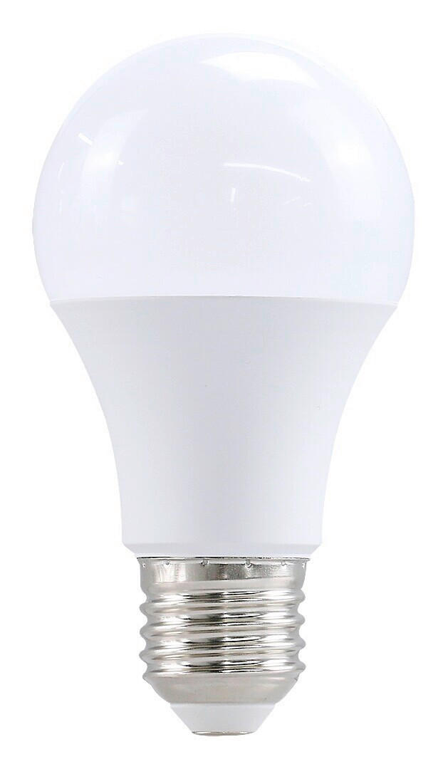 LED SIJALICA - bela, Osnovno, plastika (5.8/11cm)