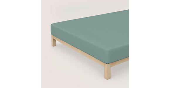 SPANNLEINTUCH 140-160/200 cm Jersey  - Hellgrün, Basics, Textil (140-160/200cm) - Novel