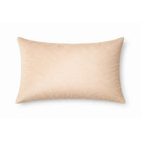 UKRASNI JASTUK    - boja peska, Osnovno, tekstil (40/60cm) - Esposa