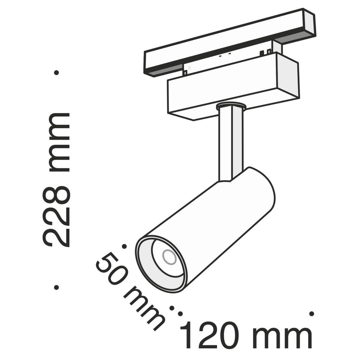 SCHIENENSYSTEM-STRAHLER 12/22,8/13,6 cm   - Schwarz, Basics, Metall (12/22,8/13,6cm) - MAYTONI