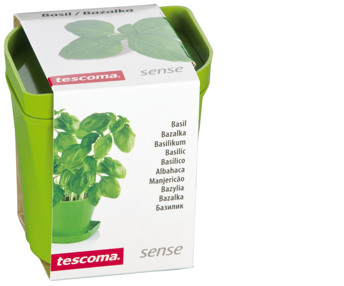 SOUPRAVA PRO PĚSTOVÁNÍ BYLINEK - Basics, plast (9.5/9.5/9.1cm) - Tescoma