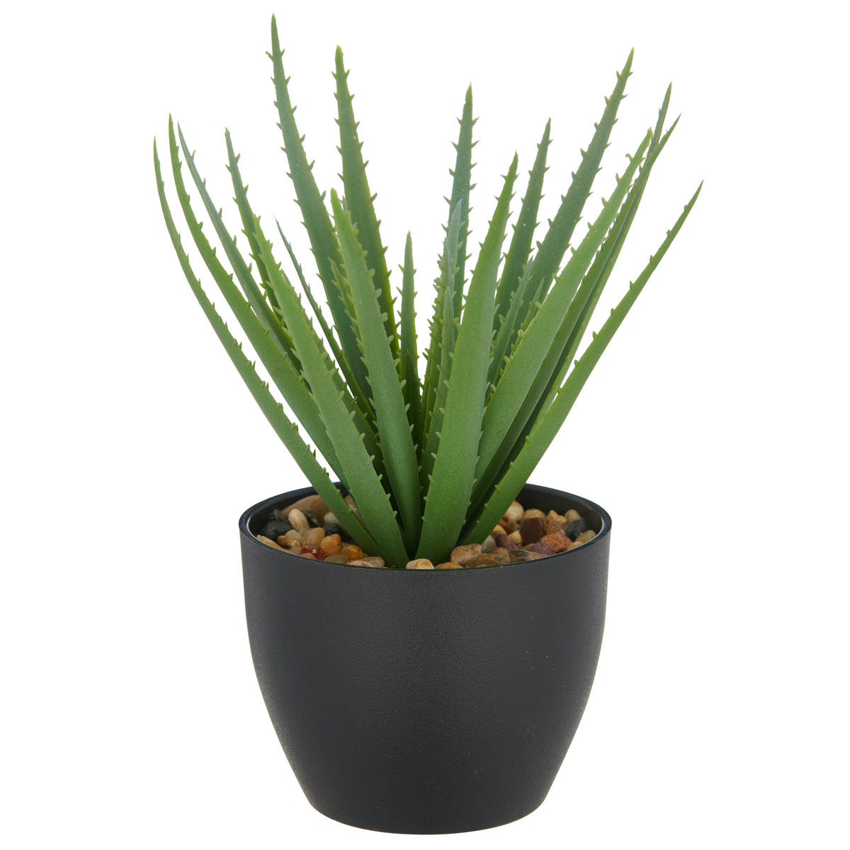 SUKKULENTE Sukkulente 20 cm  - Schwarz/Grün, Basics, Kunststoff (20cm) - P & B