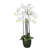 KUNSTPFLANZE Orchidee 93 cm  - Weiß/Grün, Design, Kunststoff (93cm)