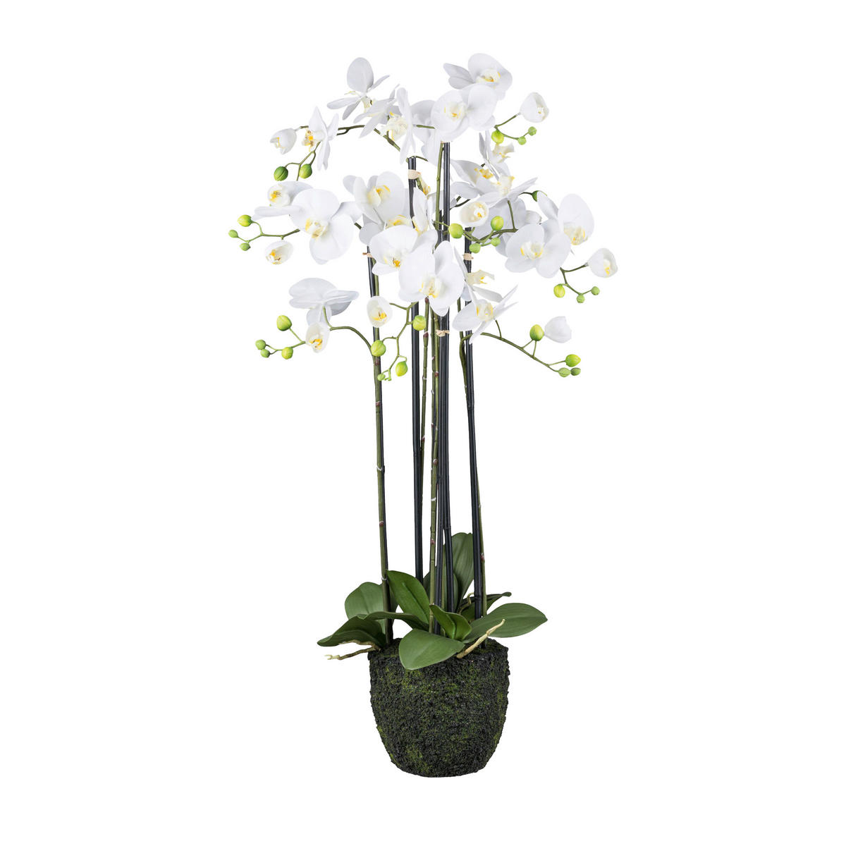 KUNSTPFLANZE Orchidee 93 cm  - Weiß/Grün, Design, Kunststoff (93cm)