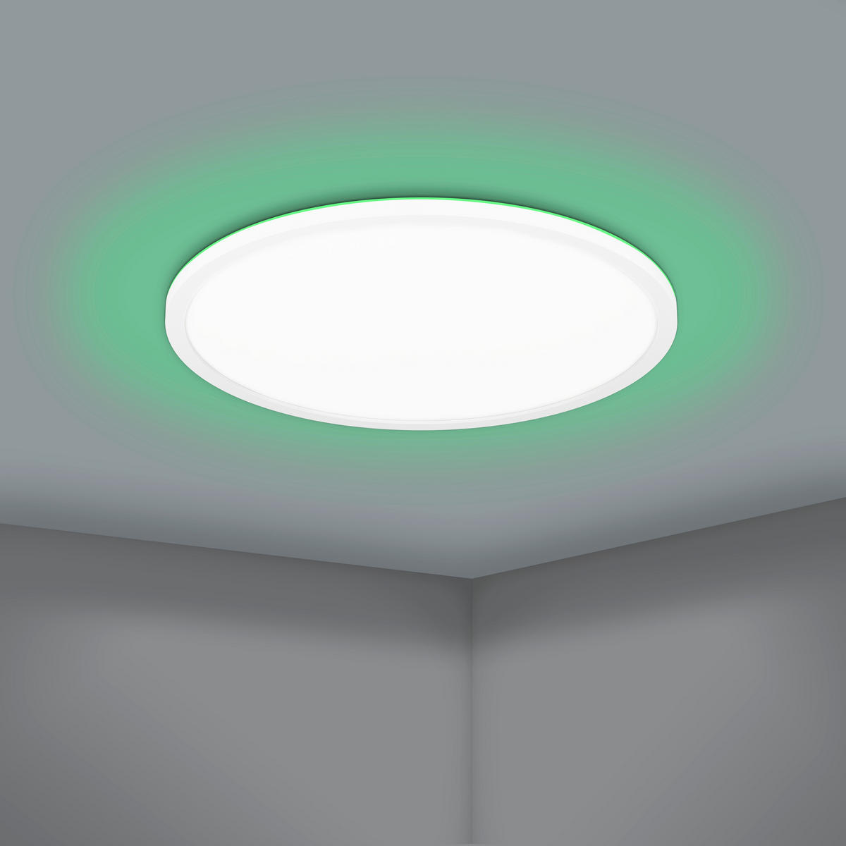 STROPNÍ LED SVÍTIDLO, 42/2,5 cm  - bílá, Basics, plast (42/2,5cm)