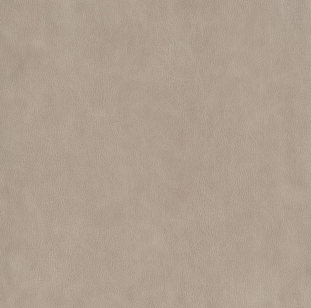 SESSEL Mikrofaser Hellgrau  - Hellgrau/Schwarz, Konventionell, Kunststoff/Textil (104/98/91cm) - Elegando