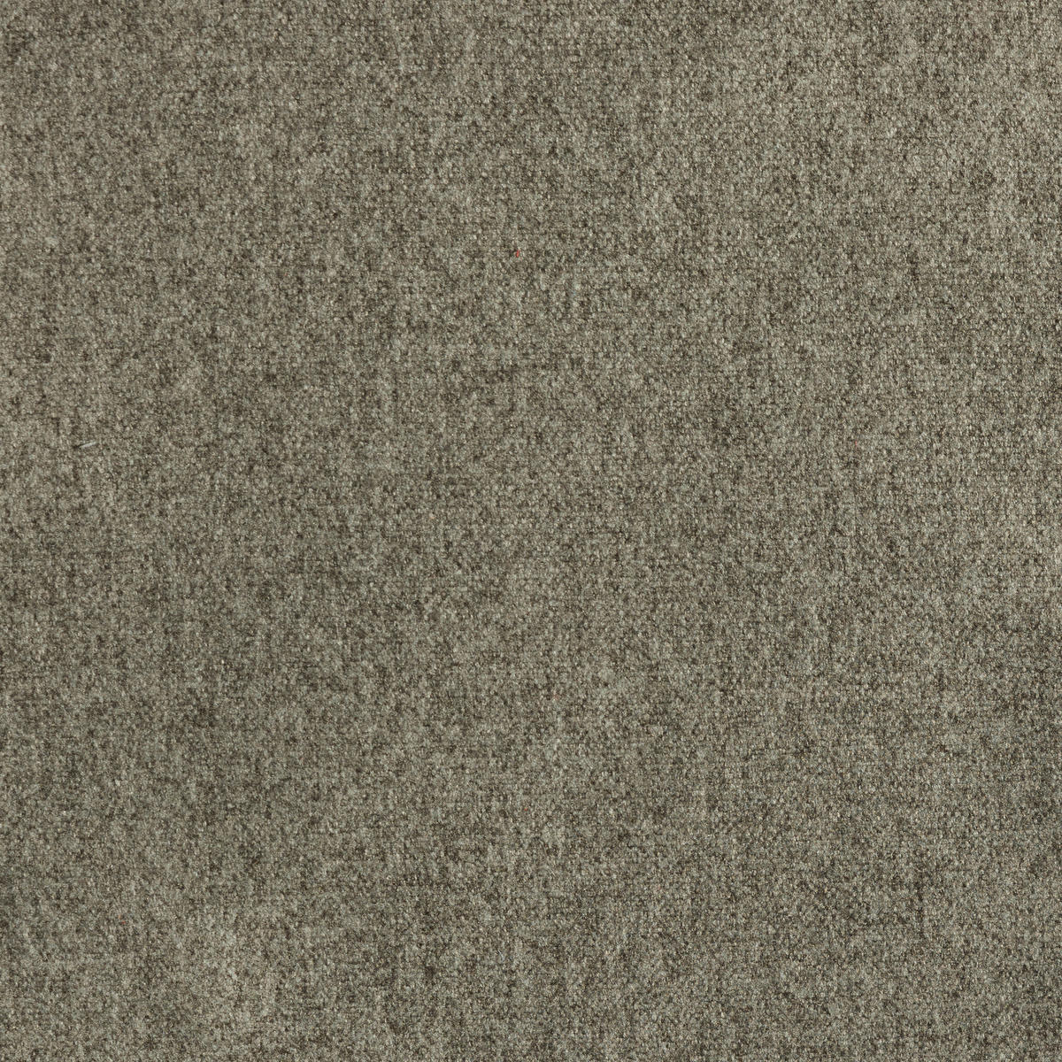 2-SITZER-SOFA in Samt, Velours Grau  - Naturfarben/Grau, Design, Holz/Textil (136/85/82cm) - Max Winzer