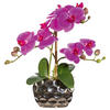 KUNSTPFLANZE Orchidee 30 cm  - Pink/Silberfarben, Design, Kunststoff (30cm) - P & B