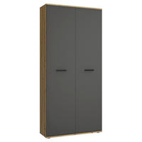 SCHUHSCHRANK Anthrazit, Eiche Artisan  - Anthrazit/Silberfarben, Basics, Holzwerkstoff/Kunststoff (90/195/35cm) - Xora