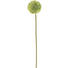 KUNSTBLUME - Creme/Braun, Basics, Kunststoff/Textil (67//cm) KUNSTBLUME - Creme/Braun, Basics, Kunststoff/Textil (67//cm)