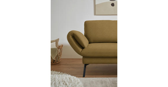 ECKSOFA  in Flachgewebe Schilfgrün  255-365/175-224 cm  - Schilfgrün/Schwarz, Design, Textil/Metall (255-365/175-224cm) - Dieter Knoll