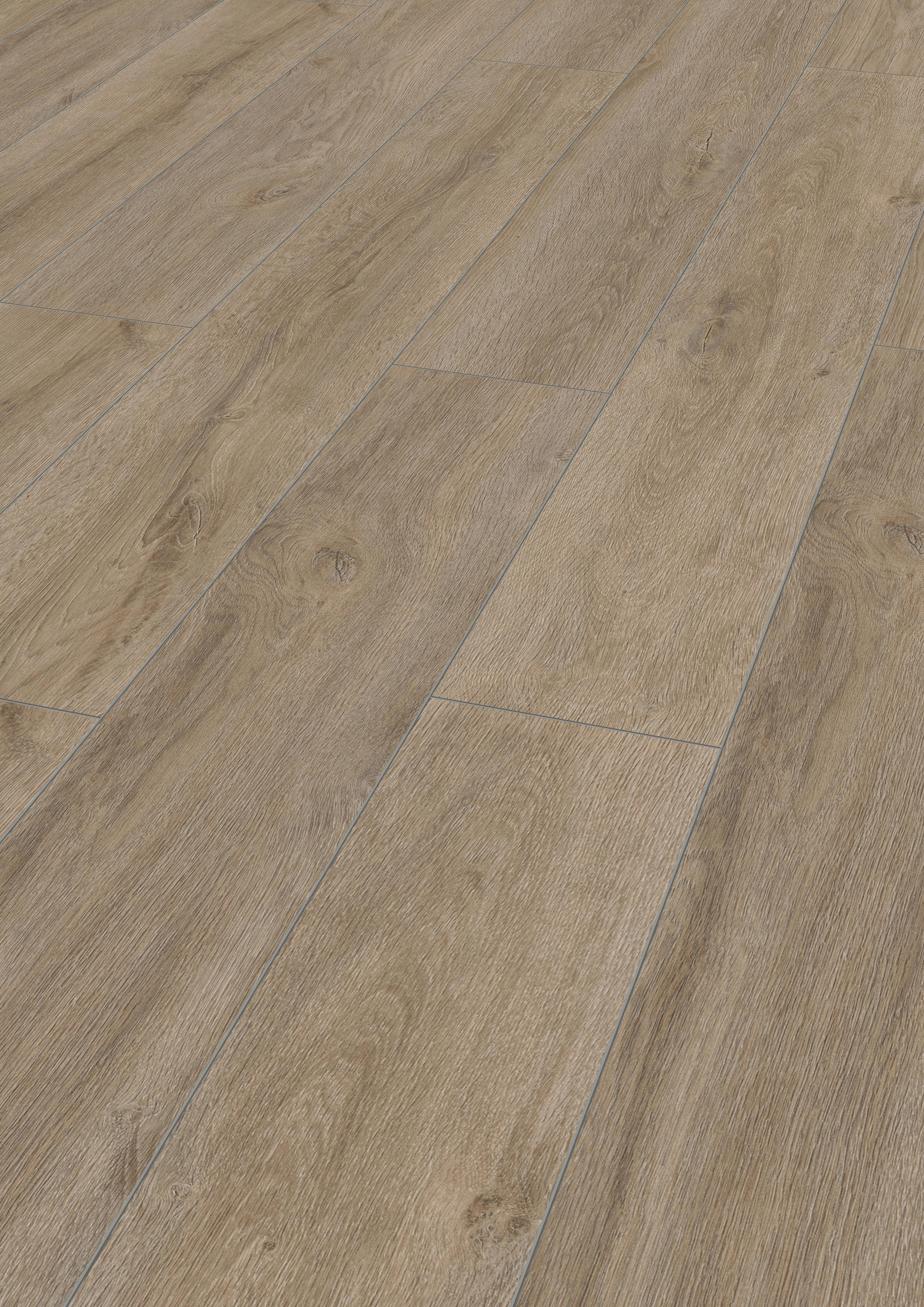 LAMINATBODEN Superior Advanced  - Eichefarben, KONVENTIONELL, Holz (138.0/19.3/0.8cm)