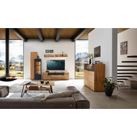 WOHNWAND  in Schwarz, Eichefarben  299,3/195,9/45,2 cm  - Eichefarben/Schwarz, Design, Glas/Holz (299,3/195,9/45,2cm) - Valdera
