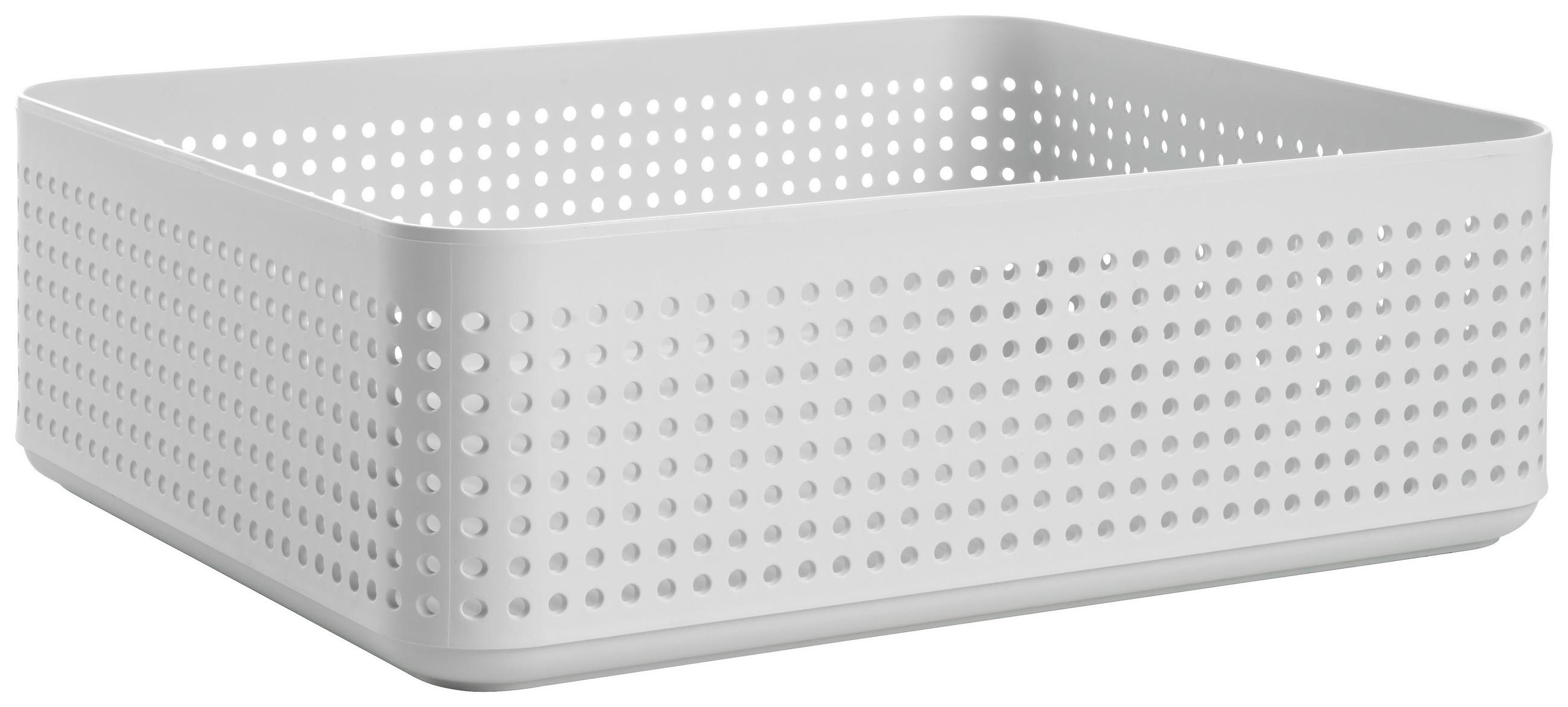 ORGANIZER  - Weiss, Basics, Kunststoff (25,8/10/31,0cm) - Rotho