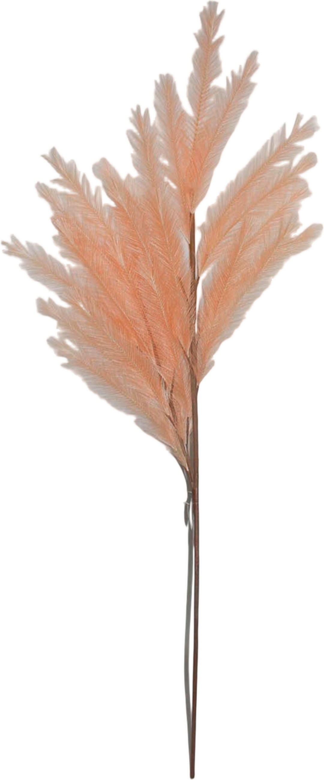 Ambia Home UMĚLÁ KVĚTINA pampová tráva 110 cm