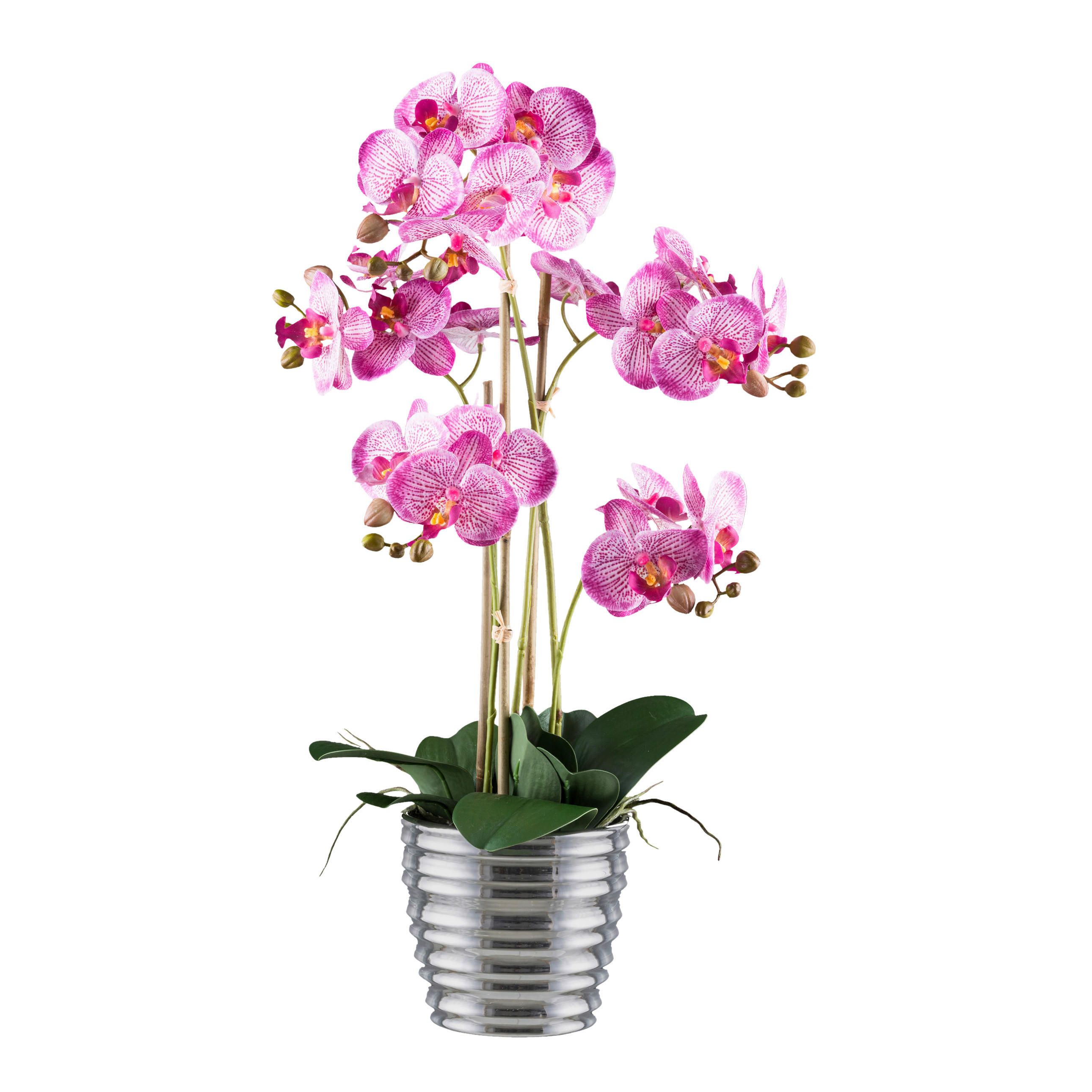 KUNSTPFLANZE Orchidee 62 cm  - Pink/Silberfarben, Design, Keramik/Kunststoff (62cm) - P & B
