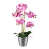 KUNSTPFLANZE Orchidee 62 cm  - Pink/Silberfarben, Design, Keramik/Kunststoff (62cm) - P & B