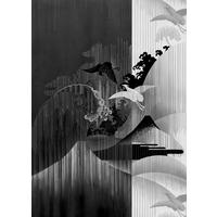 FOTOTAPETE  - Schwarz/Weiß, Trend, Papier (200/280cm) - Xora