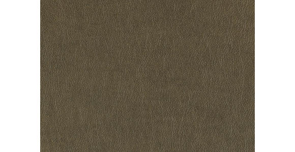 ECKSOFA in Echtleder Olivgrün 309/233 cm - Edelstahlfarben/Olivgrün, Design, Leder/Metall (309/233cm) - Dieter Knoll