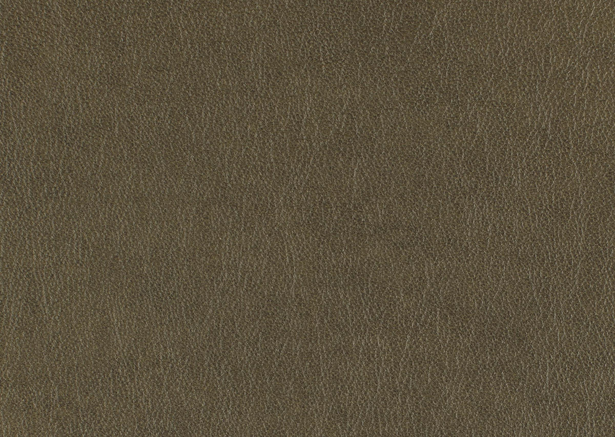 ECKSOFA in Echtleder Olivgrün  233/309 cm  - Edelstahlfarben/Olivgrün, Design, Leder/Metall (233/309cm) - Dieter Knoll