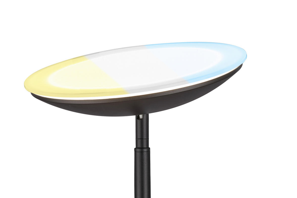 LED ÁLLÓLÁMPA - fekete, Basics, műanyag/fém (26/180cm)