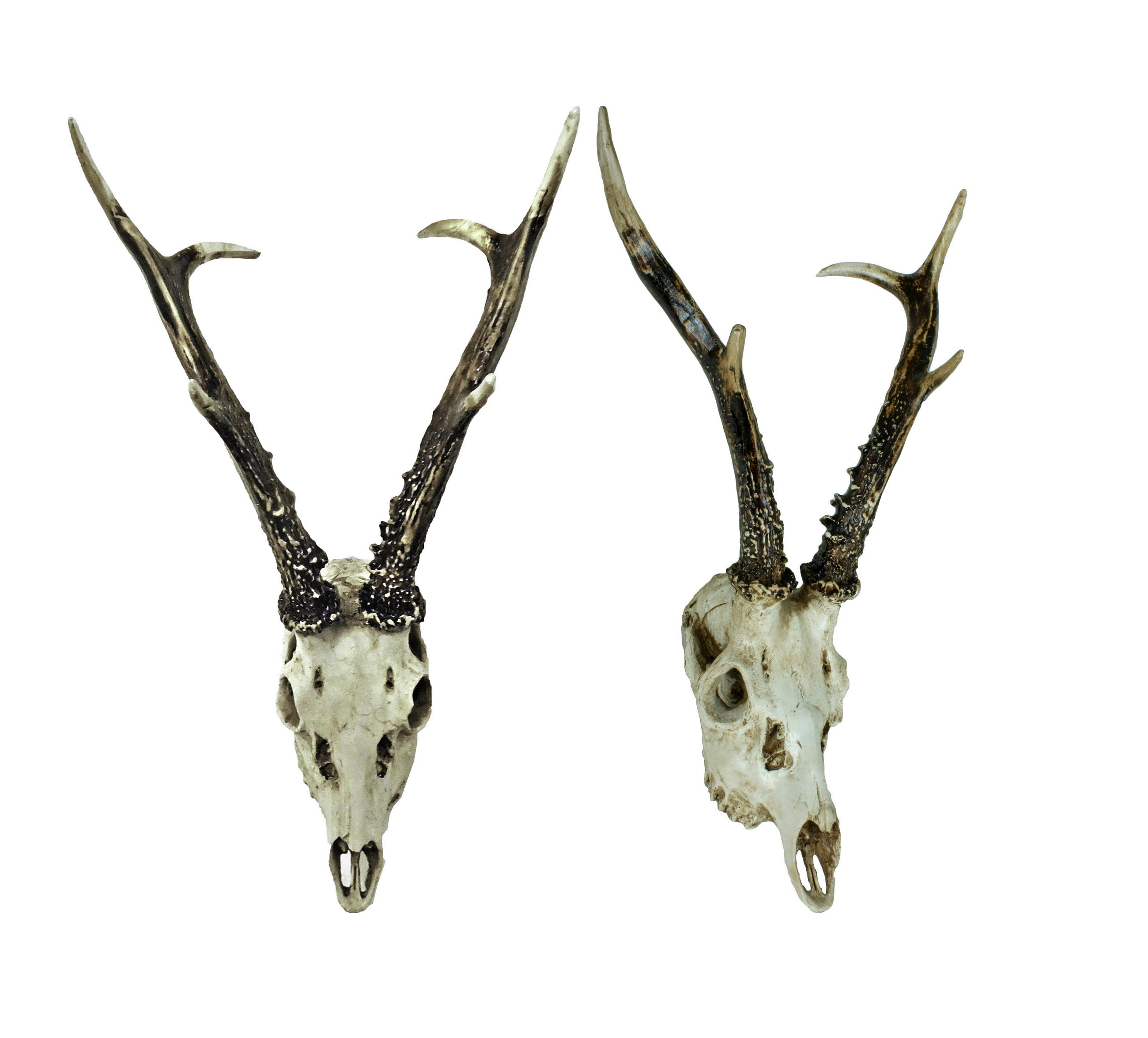 GEWEIH - Naturfarben, Basics, Kunststoff (23,5/39/24cm)